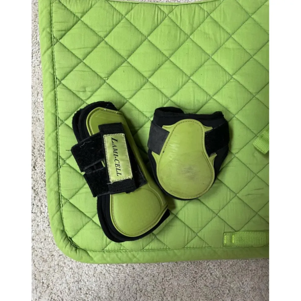 Ensemble Lami cell vert