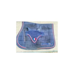 ensemble lamicel france
