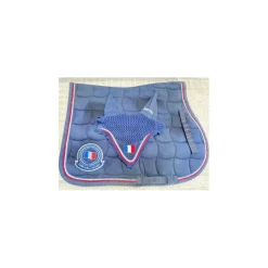 ensemble lamicel france