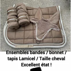 Ensemble Lami-Cell