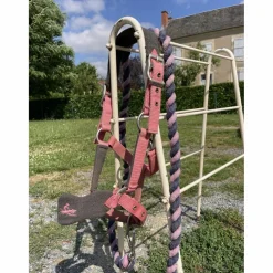 Ensemble licol+longe équithème poney