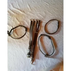 Ensemble martingale nosebande
