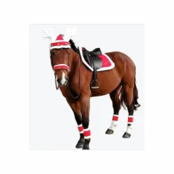 Ensemble noël