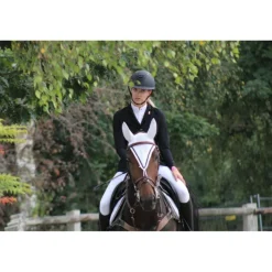 Ensemble penelope