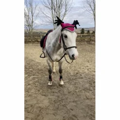 ensemble rose equithème