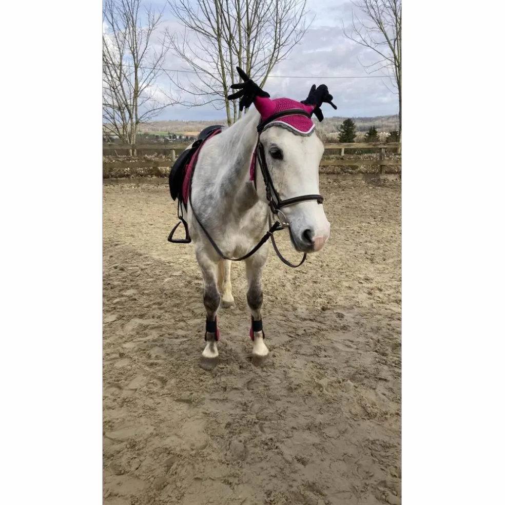 ensemble rose equithème