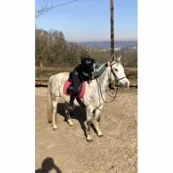 ensemble rose equithème