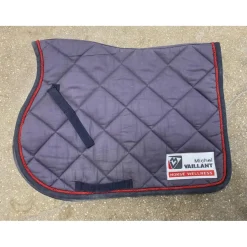 Ensemble tapis + bonnet Michel Vaillant