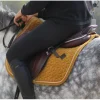 ensemble tapis bande kentucky