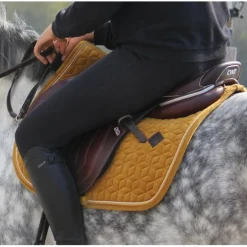 ensemble tapis bande kentucky
