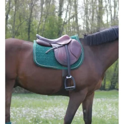 ensemble tapis bande kentucky
