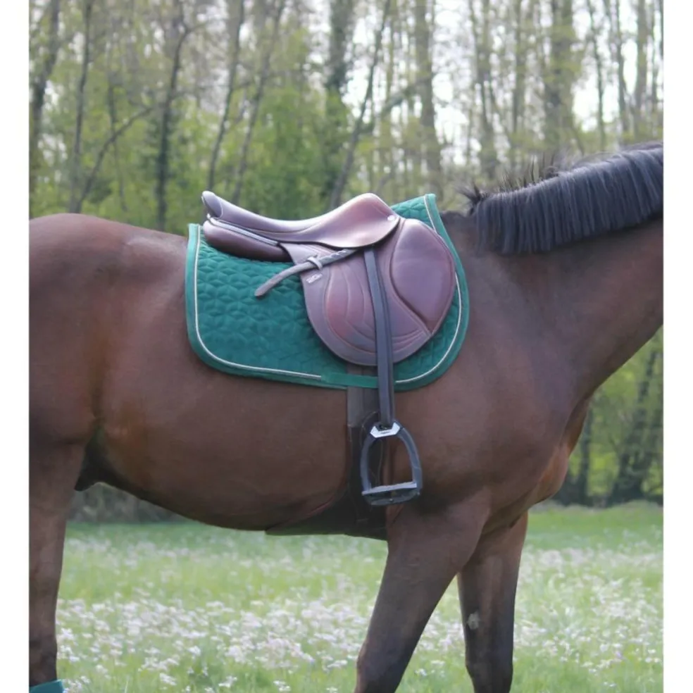 ensemble tapis bande kentucky