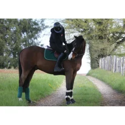 ensemble tapis bande kentucky