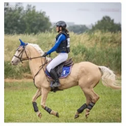 ensemble tapis bonnets bleu