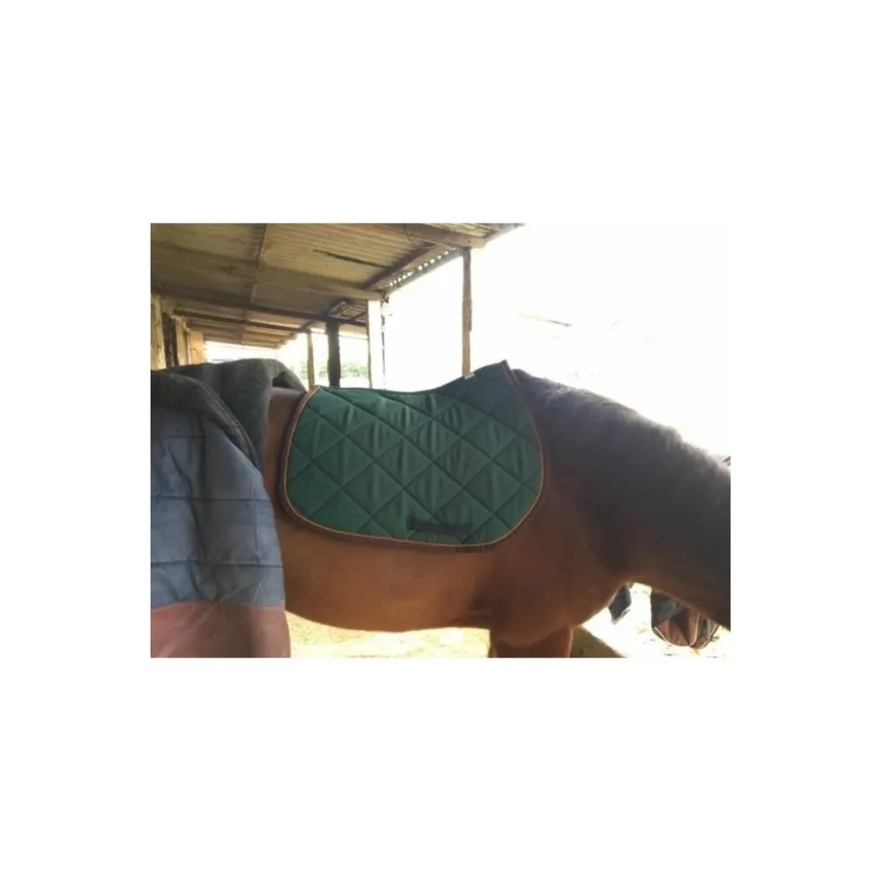 Ensemble Tapis/Bonnet Equidees