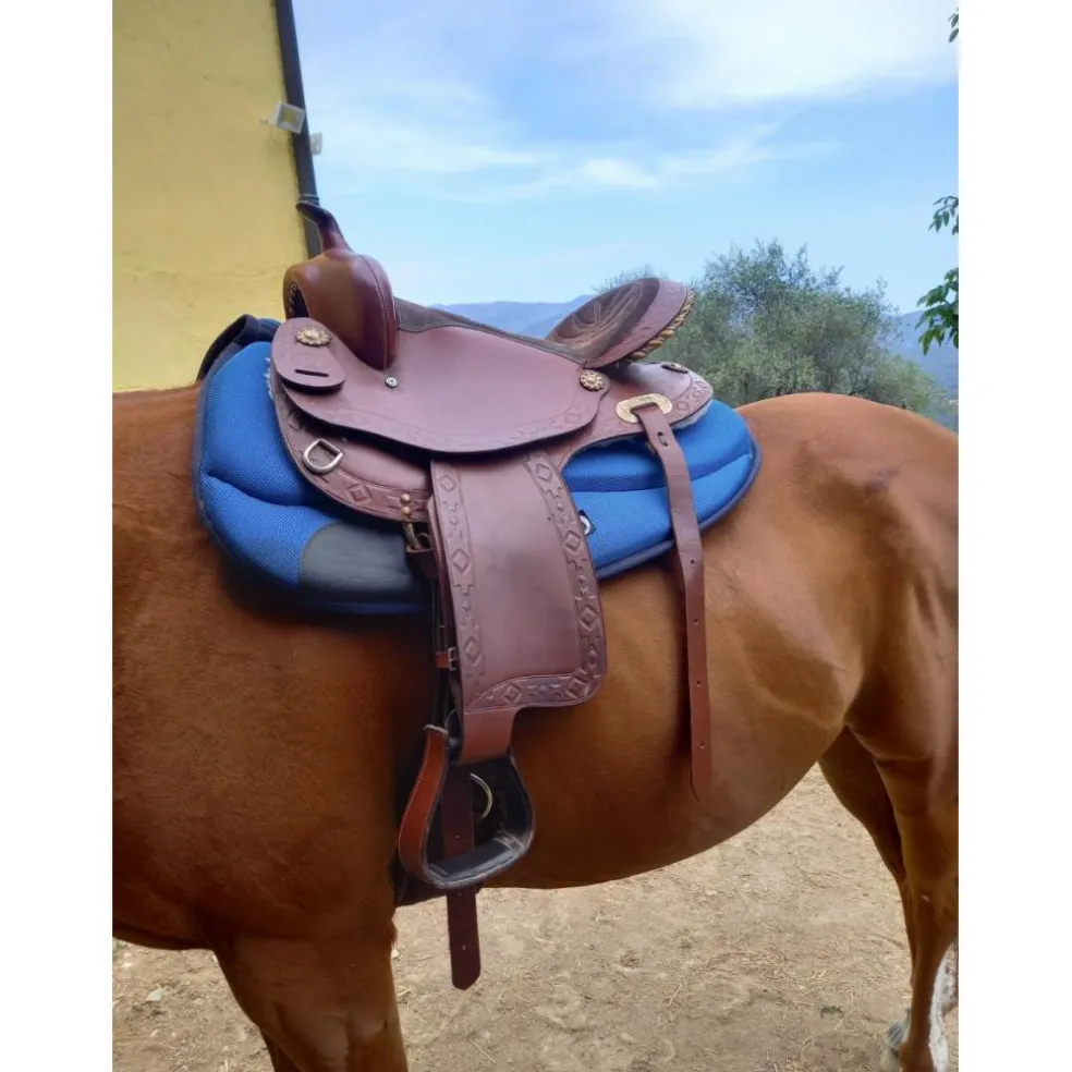 Ensemble western