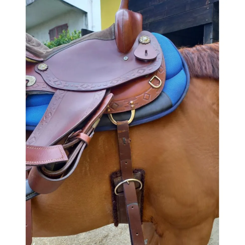 Ensemble western