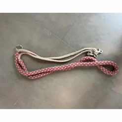 Entraînement pour longe poney