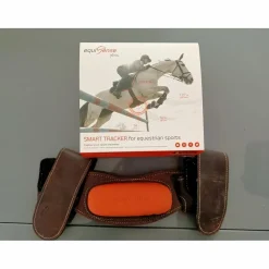 Equisence motion