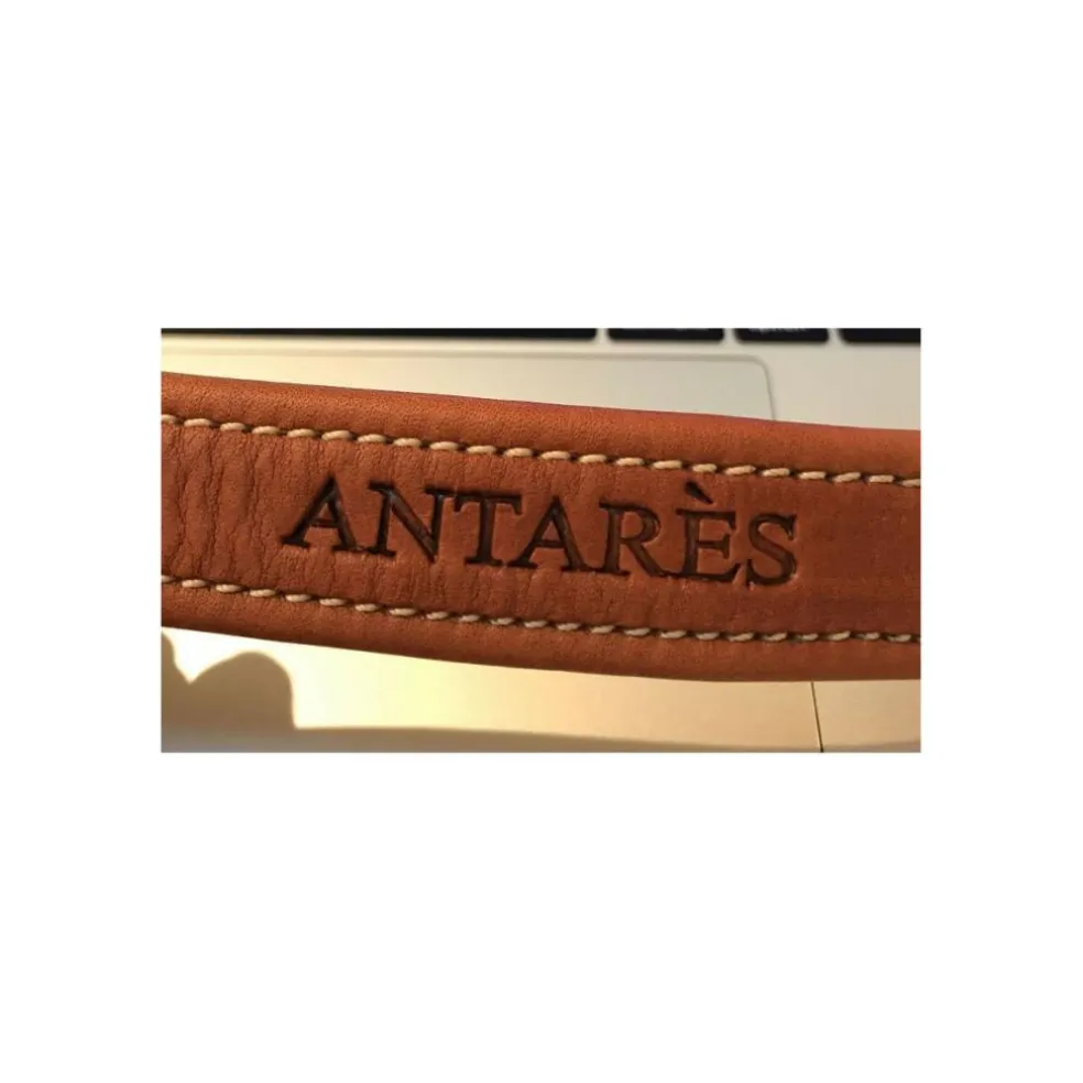 Etrivieres antares