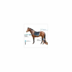 E.Zihorse Back Confort Tapis de massage vibrant et chauffant pour chevaux