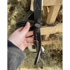 Filet anatomique