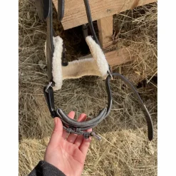 Filet anatomique