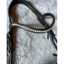 Filet bridon anatomique Schockemohl cob