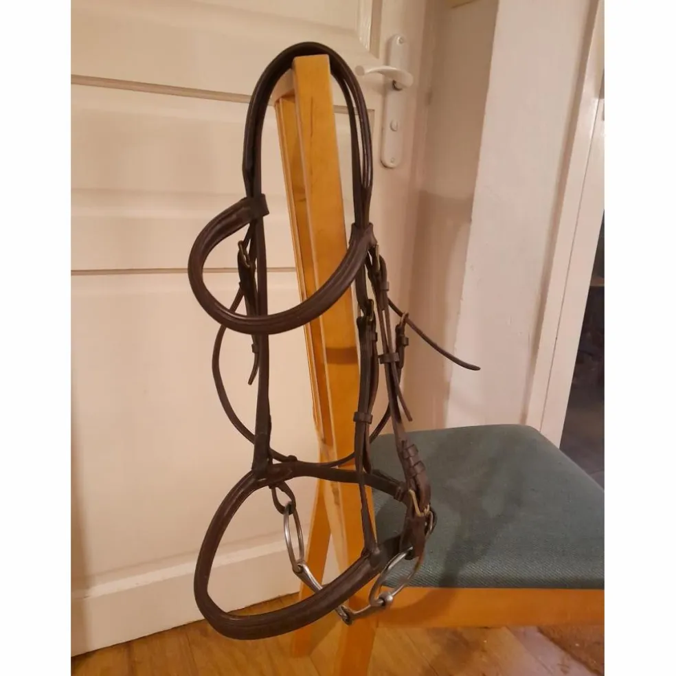 Filet bridon cuir marron cheval
