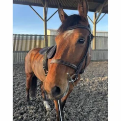 Filet cheval