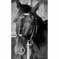 filet cuir noir