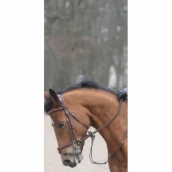 Filet CWD taille 1