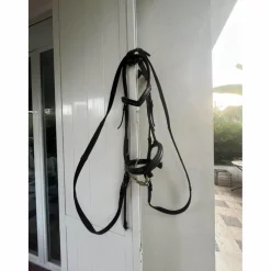 filet d’équitation