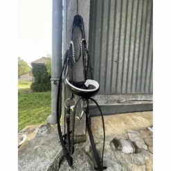 Filet dressage noir full