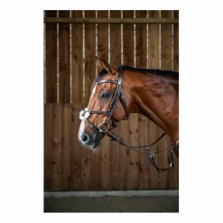 Filet Dyon Muserolle Croisée Noir Neuf Cheval