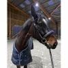 filet dyon taille cheval
