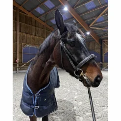 filet dyon taille cheval
