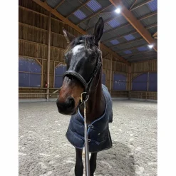 filet dyon taille cheval