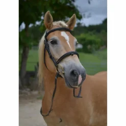 Filet Dy'on Taille cheval