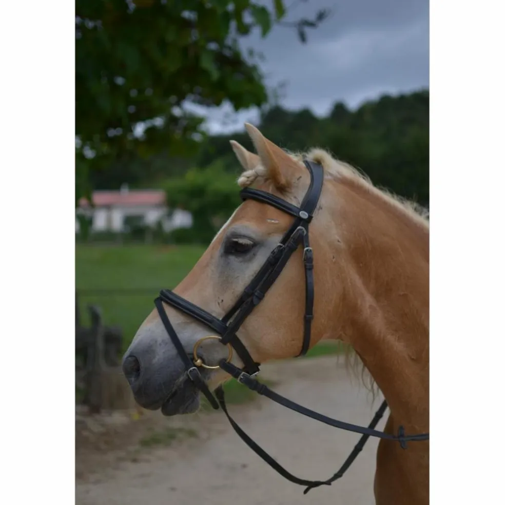 Filet Dy'on Taille cheval