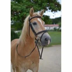 Filet Dy'on Taille cheval