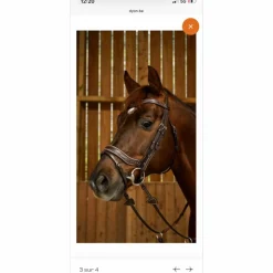 Filet dy'on working fit poney
