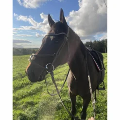 filet equipe