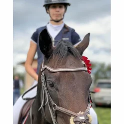 filet equipe