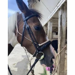 Filet Eric Thomas Work COB