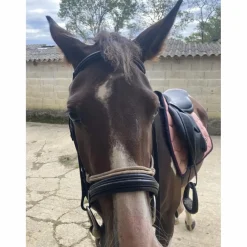 Filet Eric Thomas Work COB