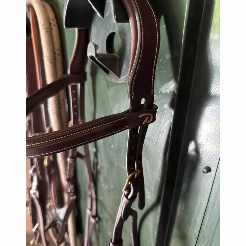 filet hackamore Dyon