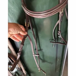 filet hackamore Dyon