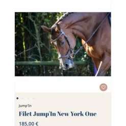 Filet Jump’In New York
