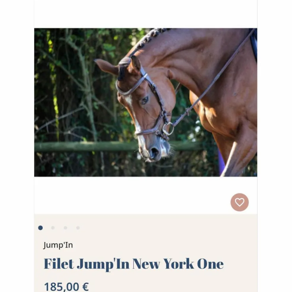 Filet Jump’In New York